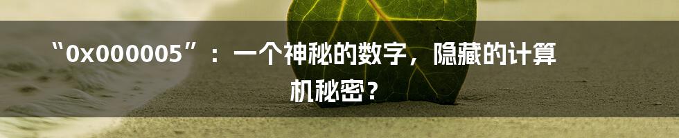 “0x000005”:一个神秘的数字,隐藏的计算机秘密?