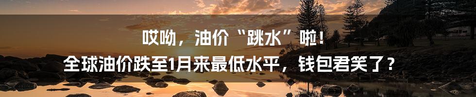 哎呦，油价“跳水”啦！ 全球油价跌至1月来最低水平，钱包君笑了？