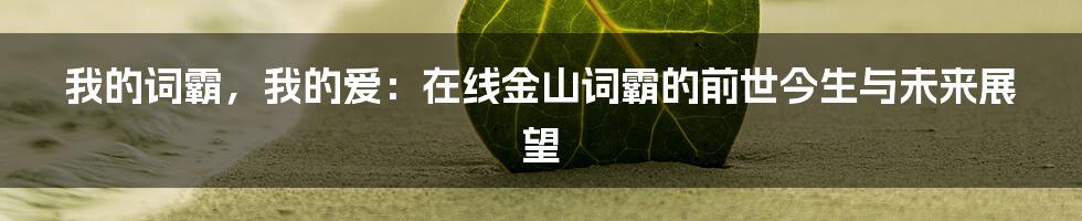 我的词霸,我的爱:在线金山词霸的前世今生与未来展望