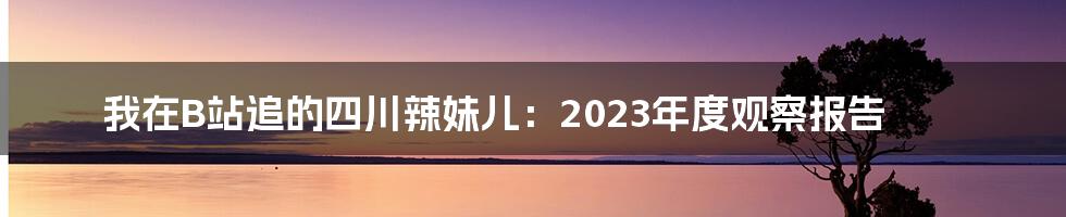 我在B站追的四川辣妹儿：2023年度观察报告