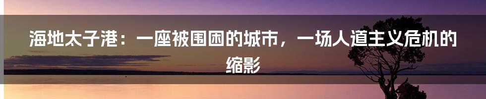 海地太子港：一座被围困的城市，一场人道主义危机的缩影