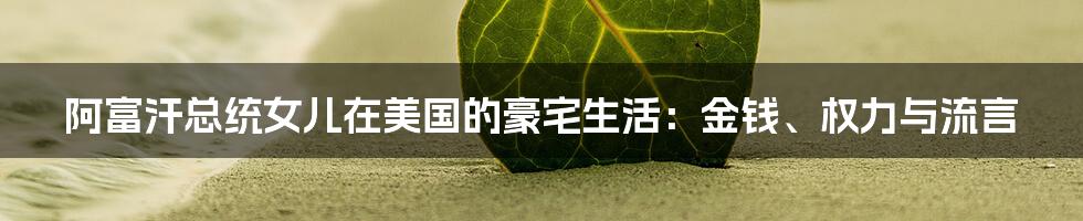 阿富汗总统女儿在美国的豪宅生活:金钱、权力与流言