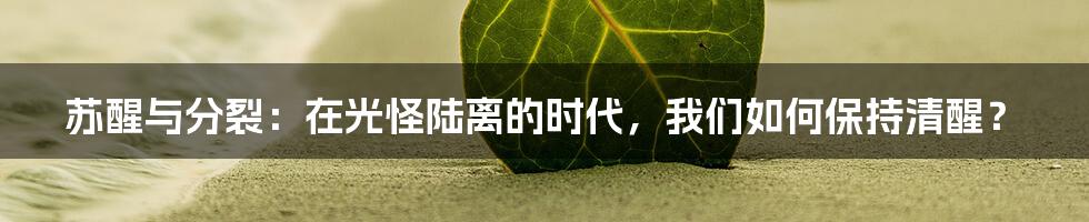 苏醒与分裂：在光怪陆离的时代，我们如何保持清醒？