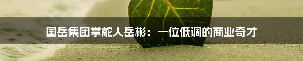 国岳集团掌舵人岳彬:一位低调的商业奇才