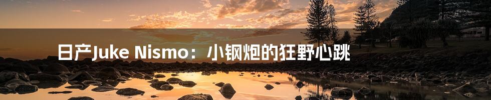 日产Juke Nismo：小钢炮的狂野心跳