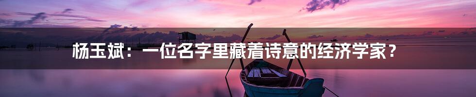 杨玉斌：一位名字里藏着诗意的经济学家？