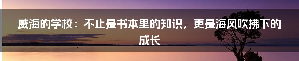 威海的学校:不止是书本里的知识,更是海风吹拂下的成长
