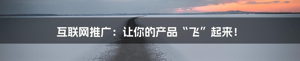 互联网推广：让你的产品“飞”起来！