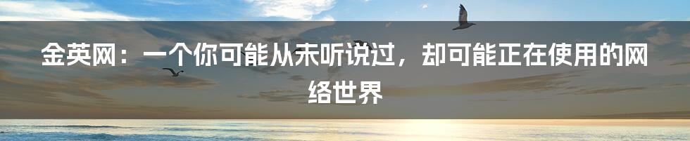 金英网：一个你可能从未听说过，却可能正在使用的网络世界