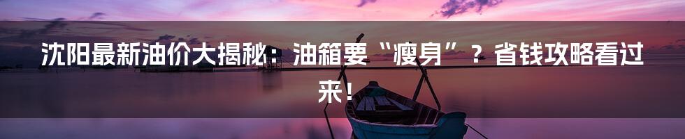 沈阳最新油价大揭秘：油箱要“瘦身”？省钱攻略看过来！