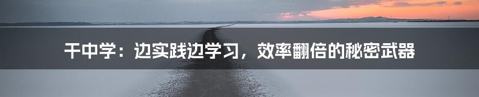 干中学:边实践边学习,效率翻倍的秘密武器