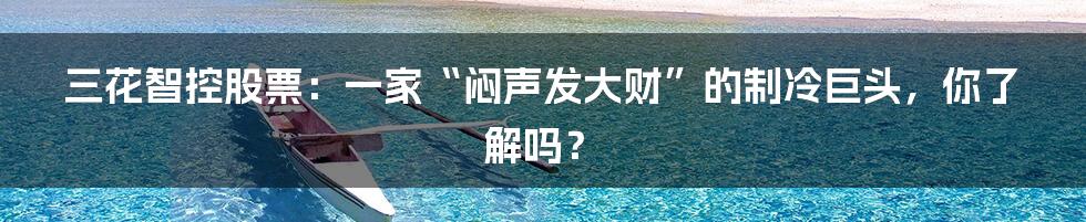三花智控股票:一家“闷声发大财”的制冷巨头,你了解吗?