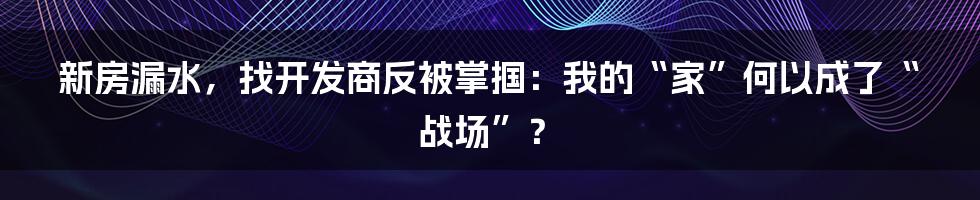 新房漏水，找开发商反被掌掴：我的“家”何以成了“战场”？