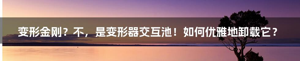 变形金刚？不，是变形器交互池！如何优雅地卸载它？