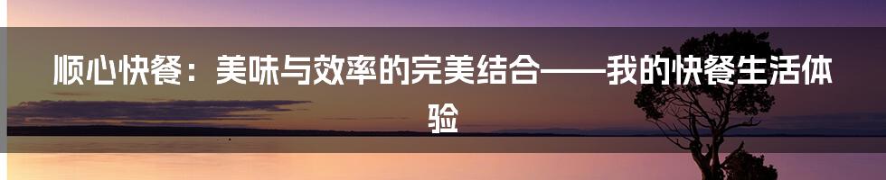 顺心快餐：美味与效率的完美结合——我的快餐生活体验