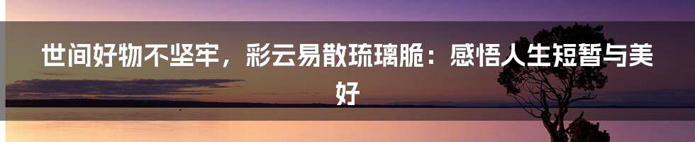 世间好物不坚牢,彩云易散琉璃脆:感悟人生短暂与美好