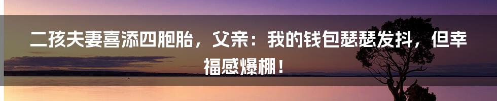 二孩夫妻喜添四胞胎,父亲:我的钱包瑟瑟发抖,但幸福感爆棚!