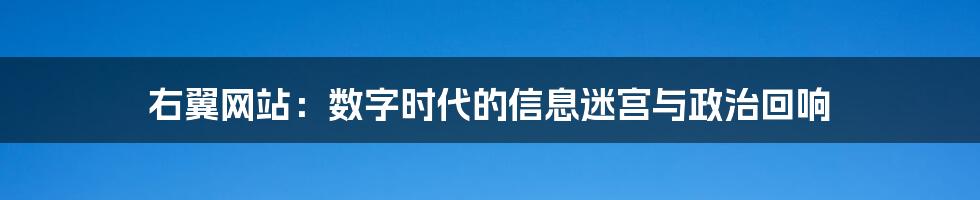 右翼网站:数字时代的信息迷宫与政治回响
