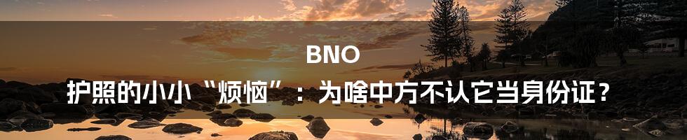 BNO 护照的小小“烦恼”:为啥中方不认它当身份证?