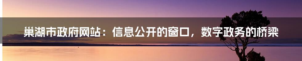 巢湖市政府网站:信息公开的窗口,数字政务的桥梁