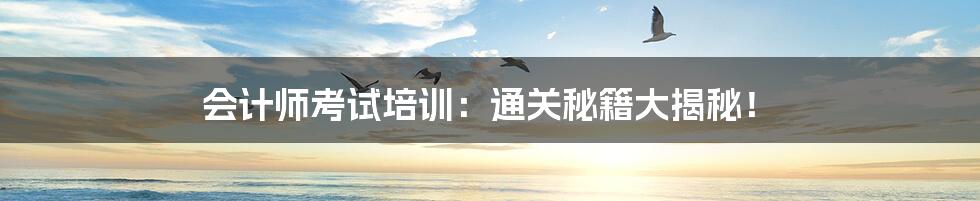 会计师考试培训：通关秘籍大揭秘！