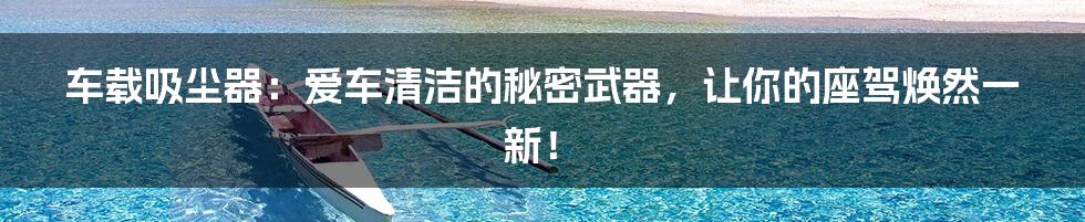 车载吸尘器：爱车清洁的秘密武器，让你的座驾焕然一新！