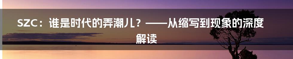SZC：谁是时代的弄潮儿？——从缩写到现象的深度解读