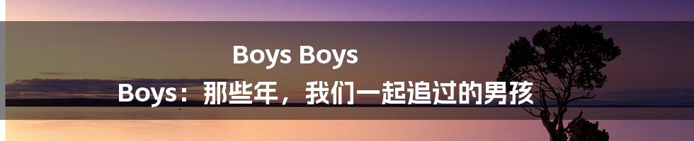 Boys Boys Boys:那些年,我们一起追过的男孩