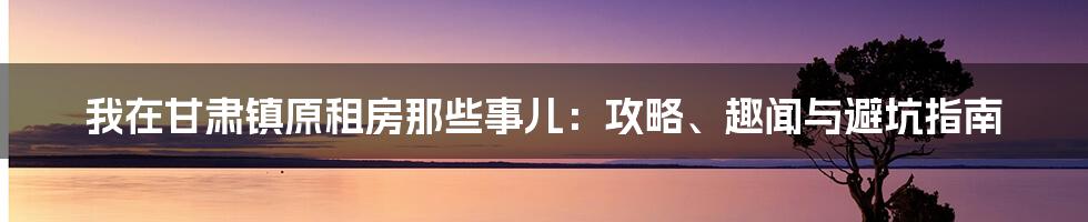 我在甘肃镇原租房那些事儿：攻略、趣闻与避坑指南