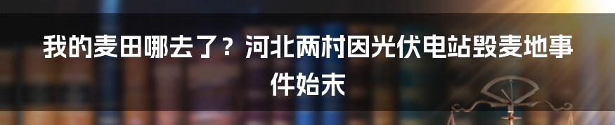 我的麦田哪去了？河北两村因光伏电站毁麦地事件始末