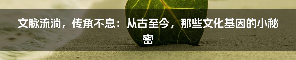 文脉流淌，传承不息：从古至今，那些文化基因的小秘密