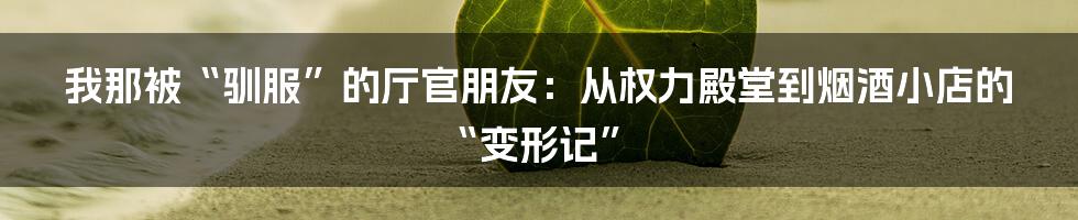 我那被“驯服”的厅官朋友:从权力殿堂到烟酒小店的“变形记”