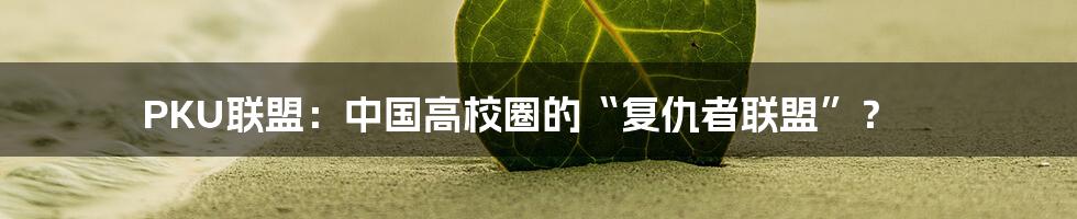 PKU联盟:中国高校圈的“复仇者联盟”?