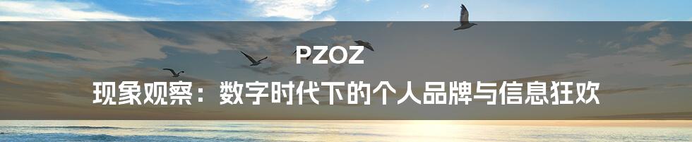 PZOZ 现象观察：数字时代下的个人品牌与信息狂欢