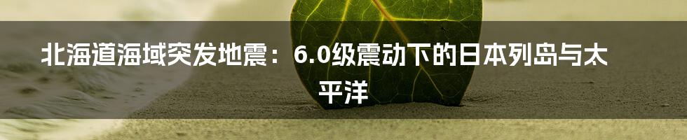 北海道海域突发地震：6.0级震动下的日本列岛与太平洋