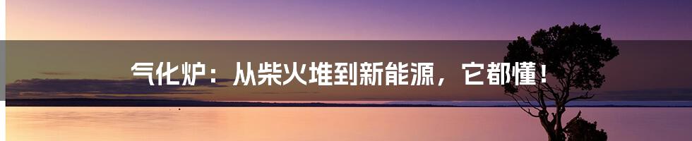 气化炉:从柴火堆到新能源,它都懂!