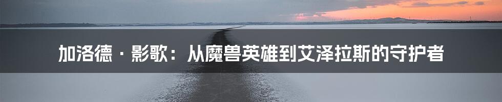 加洛德·影歌:从魔兽英雄到艾泽拉斯的守护者
