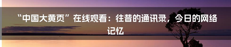 “中国大黄页”在线观看:往昔的通讯录,今日的网络记忆