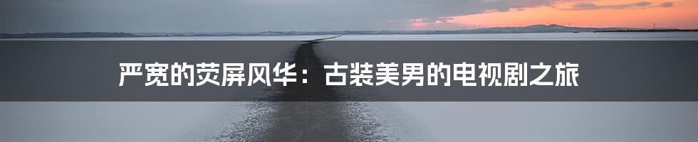 严宽的荧屏风华:古装美男的电视剧之旅