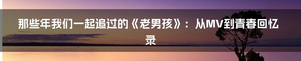 那些年我们一起追过的《老男孩》:从MV到青春回忆录