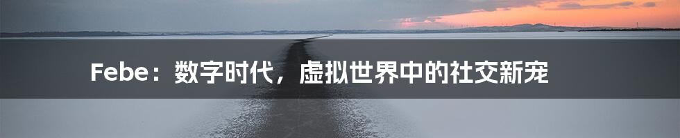 Febe：数字时代，虚拟世界中的社交新宠