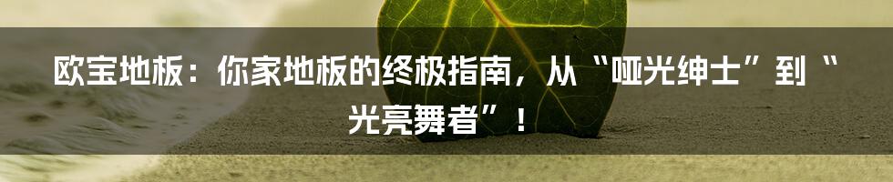 欧宝地板：你家地板的终极指南，从“哑光绅士”到“光亮舞者”！