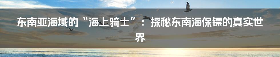 东南亚海域的“海上骑士”:探秘东南海保镖的真实世界