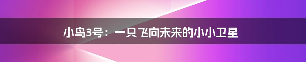 小鸟3号：一只飞向未来的小小卫星