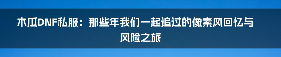 木瓜DNF私服：那些年我们一起追过的像素风回忆与风险之旅