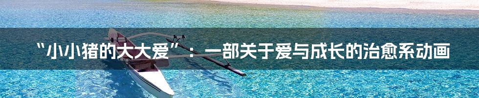“小小猪的大大爱”:一部关于爱与成长的治愈系动画
