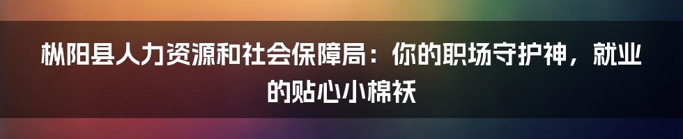 枞阳县人力资源和社会保障局：你的职场守护神，就业的贴心小棉袄