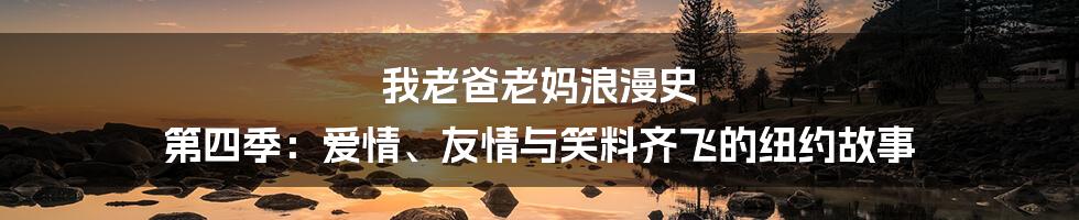 我老爸老妈浪漫史 第四季：爱情、友情与笑料齐飞的纽约故事