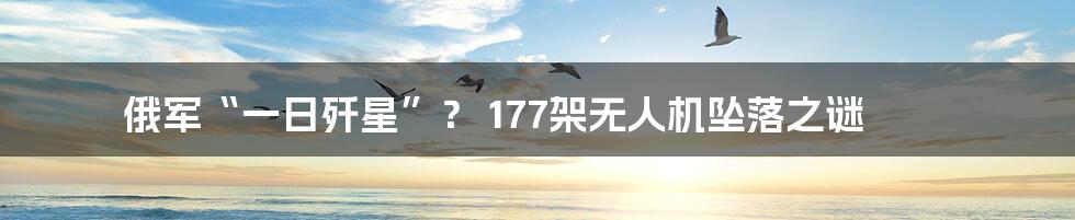 俄军“一日歼星”？ 177架无人机坠落之谜