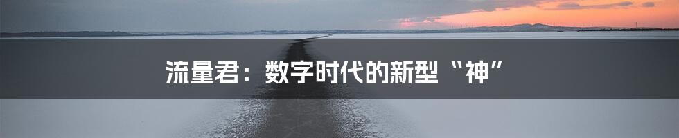 流量君：数字时代的新型“神”